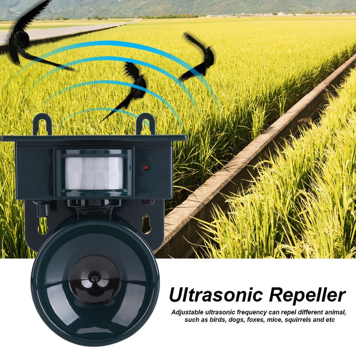 Bird Dog Cat Fox Mouse Pest Repeller