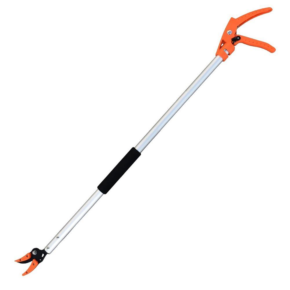 Pruning Scissors For Growing Fruit Trees