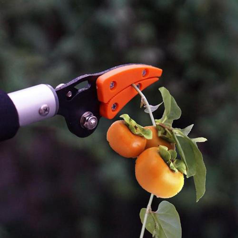 Pruning Scissors For Growing Fruit Trees