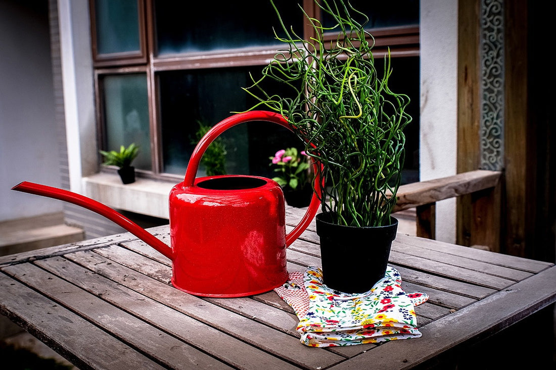 Watering Iron Sheet Watering Pot Gardening