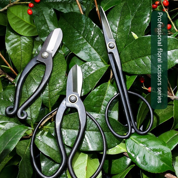 Professional Floral Scissors Flower