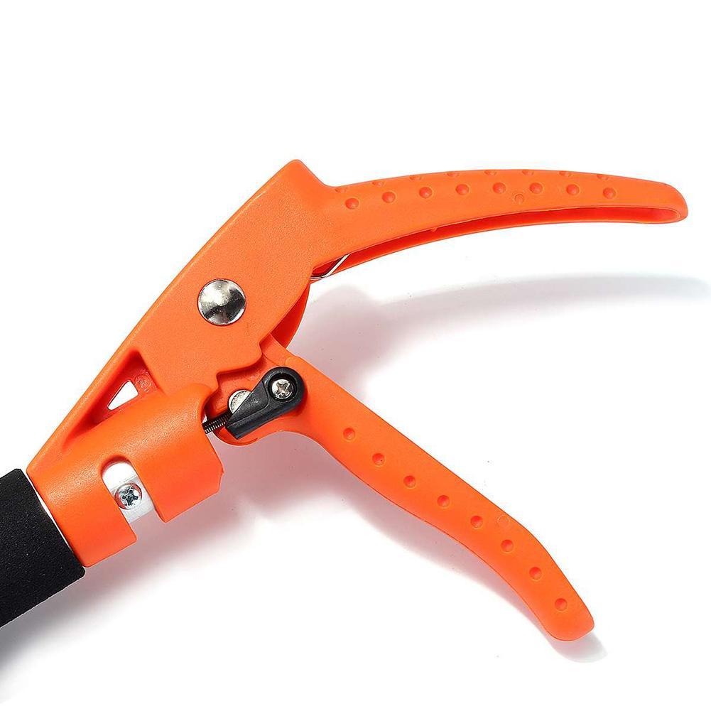 Pruning Scissors For Growing Fruit Trees