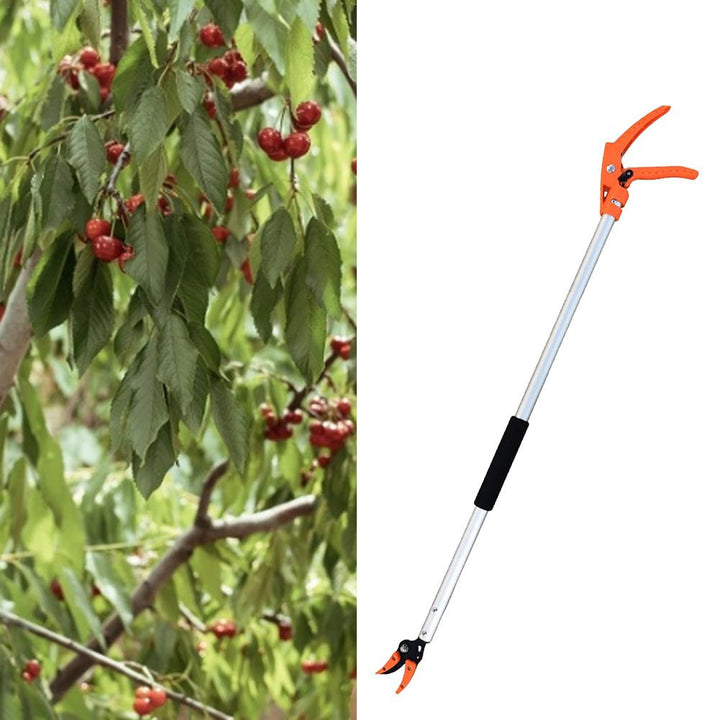 Pruning Scissors For Growing Fruit Trees