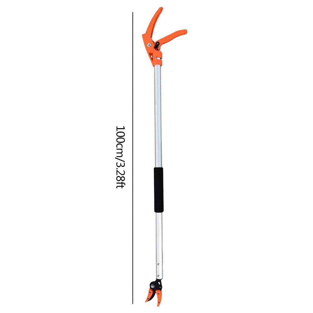 Pruning Scissors For Growing Fruit Trees